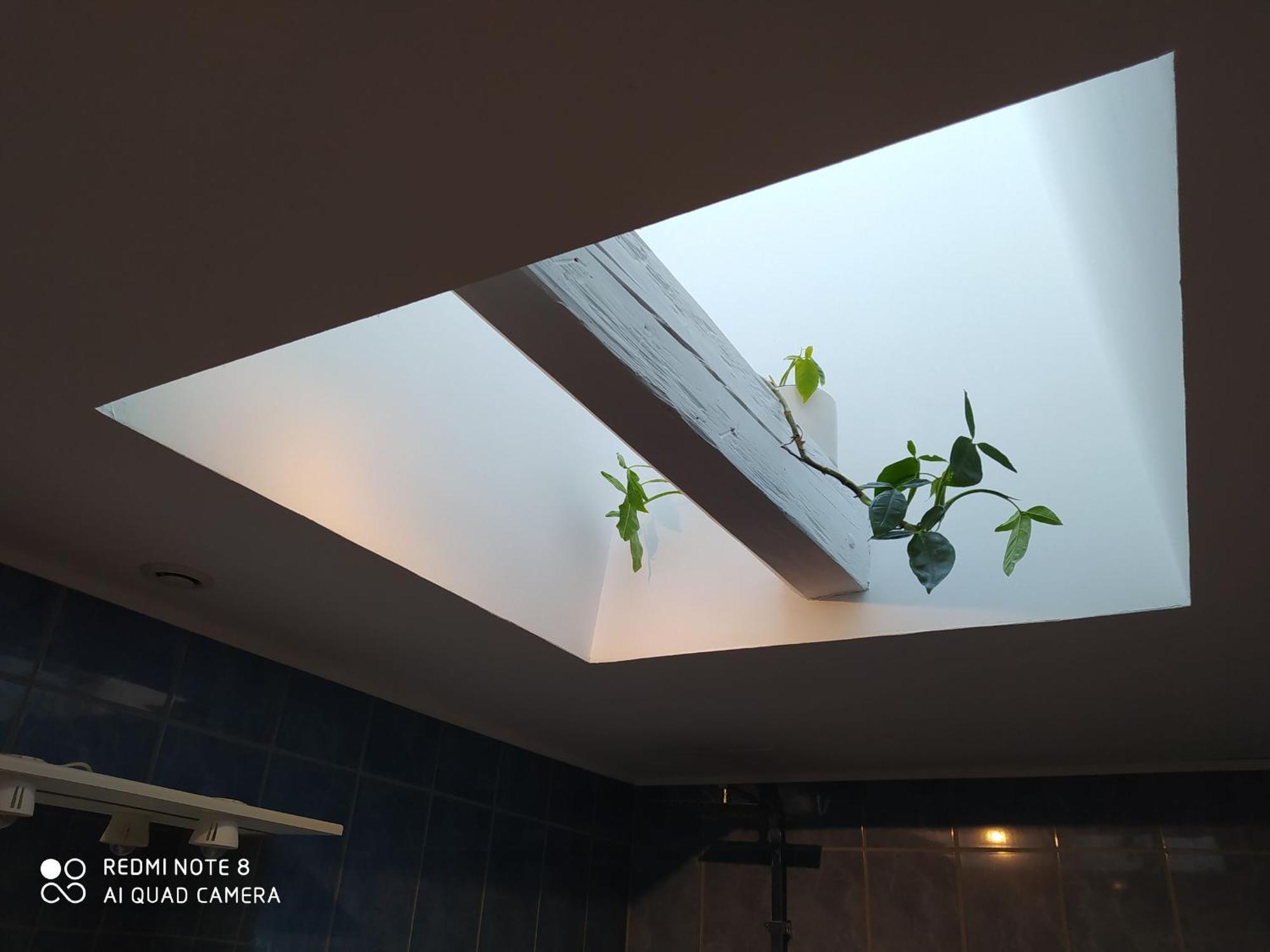 Gite Calme 4 Chambres, Terrasse Privative, Draps Inclus - Germonville - Fr-1-584-167 外观 照片