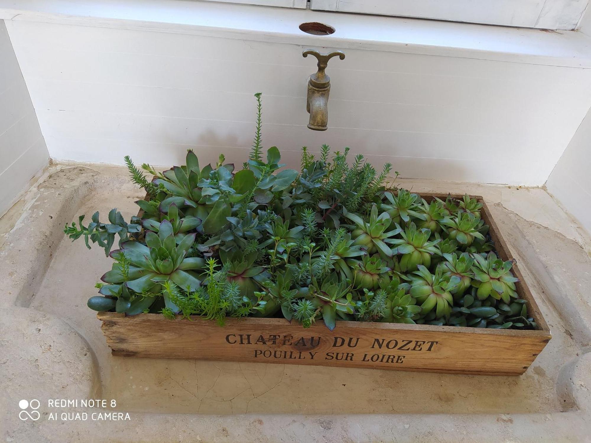 Gite Calme 4 Chambres, Terrasse Privative, Draps Inclus - Germonville - Fr-1-584-167 外观 照片