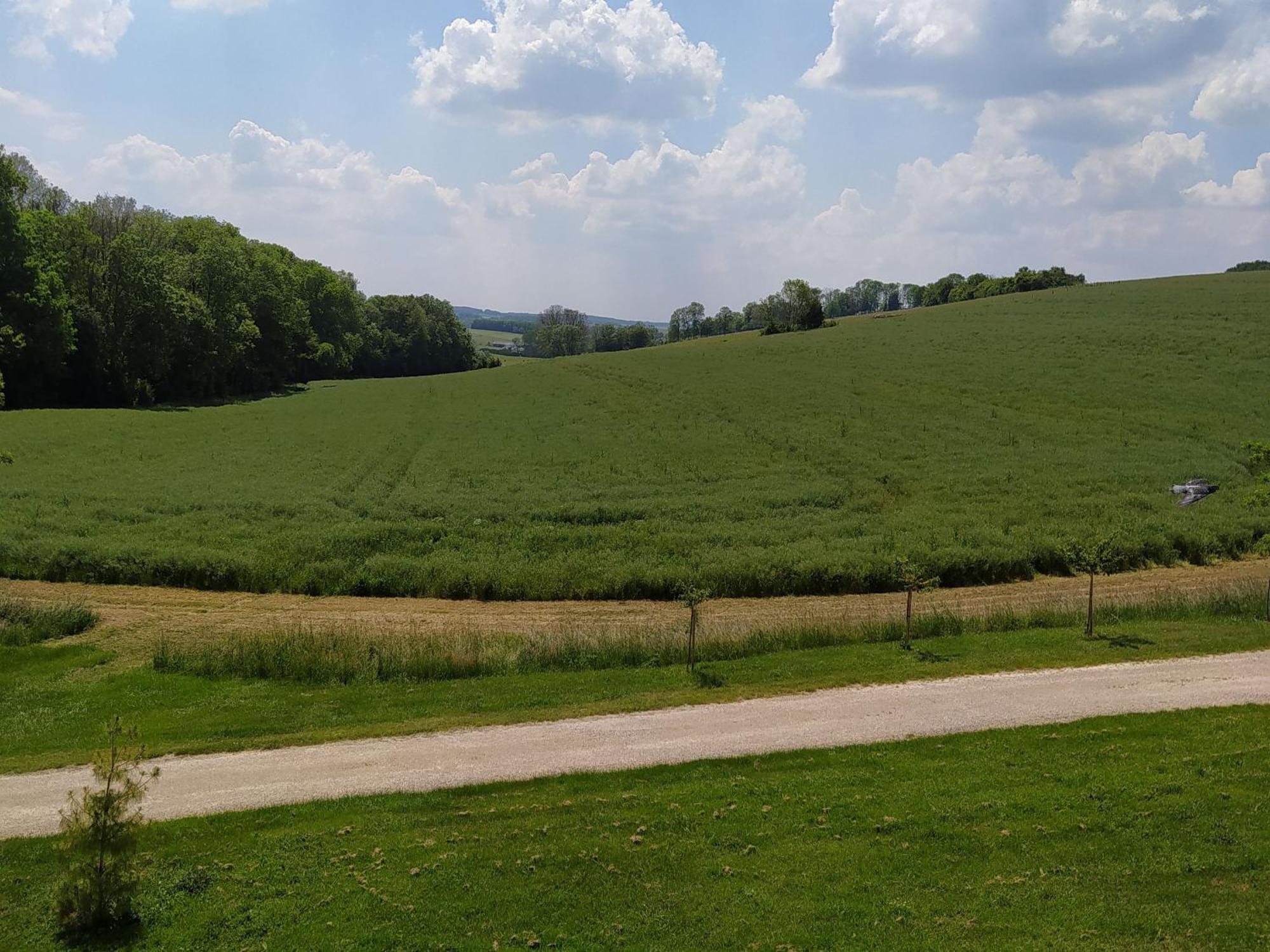 Gite Calme 4 Chambres, Terrasse Privative, Draps Inclus - Germonville - Fr-1-584-167 外观 照片